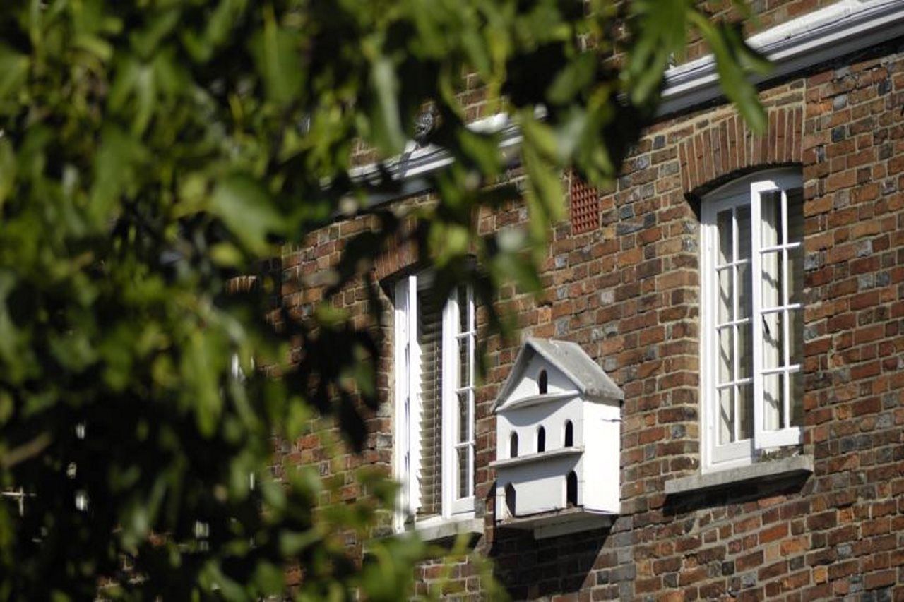 ルーズ Pelham House Bed & Breakfast エクステリア 写真